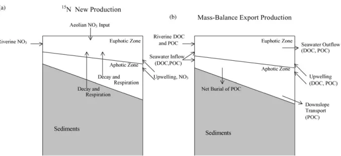 Fig. 2. Sketch of (a) the main external sources of nitrate related to the 15 N-based new production in the euphotic zone of the continental shelf, and (b) the main external sources and sinks of organic carbon related to the mass-balance export production o