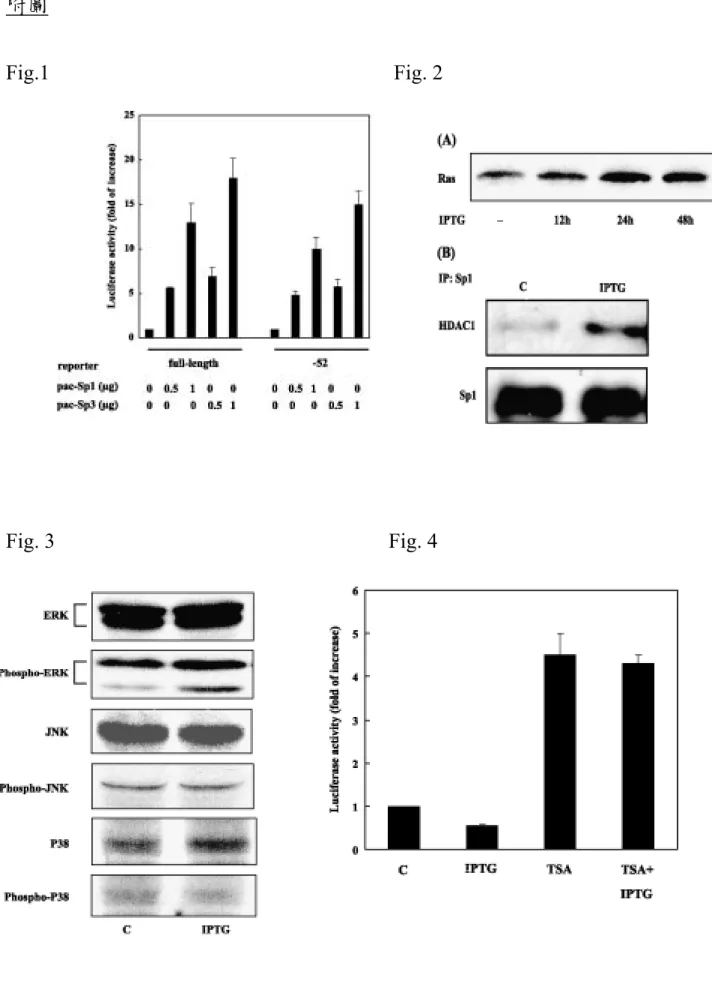 Fig. 3                                                                Fig. 4                                                                  