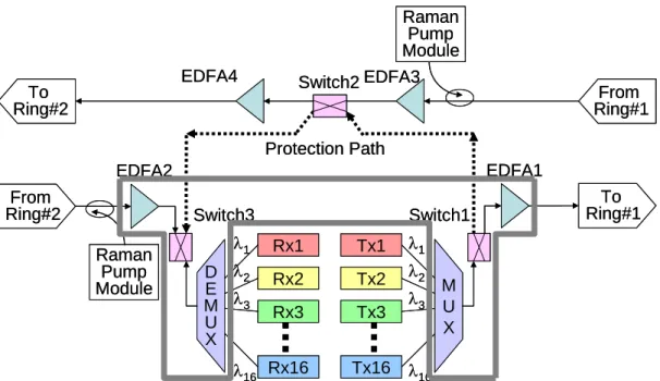 Figure 1. Various models of Raman response function. 