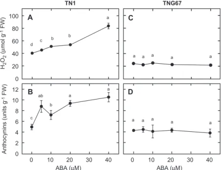 Figure 6. Effect of ABA on the contents of H 2 O 2 (A, C) and anthocyanins (B, D) in the second leaves of rice seedlings.
