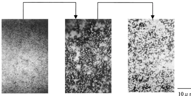 Fig. 4. The microstructure change of the punch material.