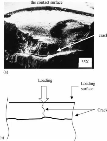Fig. 11. The crack origin and the beach marks.