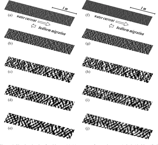 Figure 6. Simulated train of antidunes: (a)-(e) water surface at times t = 1, 2, 5, 10, 20 s; (f)-(j)  sand bed surface at the same instants