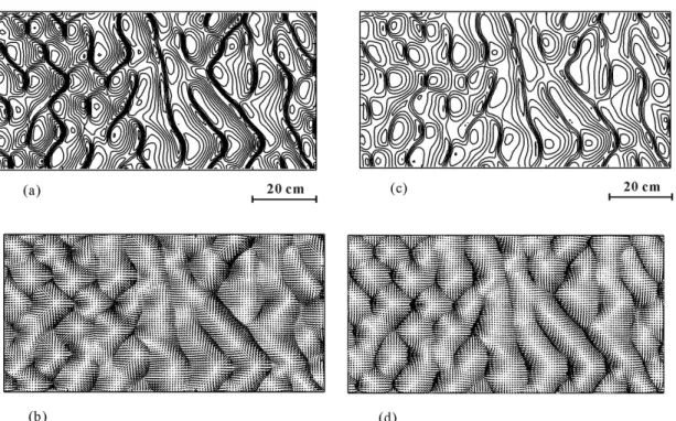 Figure 7. Antidunes detail at time t = 20 s: (a) water surface; (b) water velocity field; (c)  sediment interface; (d) sediment layer velocity field