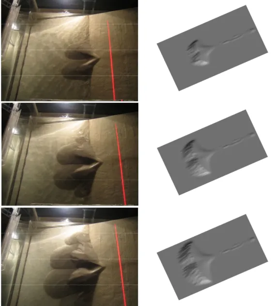 Fig. 9. Comparison of experimental (overhead photos shown on the left) and numerical results  (shaded surfaces shown on the right) for the delta development