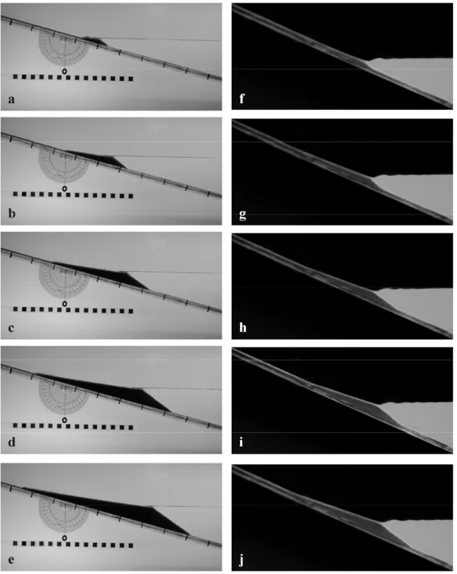 Figure 15. Laboratory observations of prograding deltas over rigid basements: a)-e) subaerial 