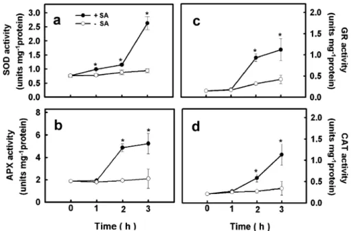 Fig. 4 Effect of CdCl 2 on MDA content in rice leaves pretreated with SA, SA + DPI, SA + IMD, SA + DPI + H 2 O 2 , or SA + IMD + H 2 O 2 (a) or pretreated with or without H 2 O 2 (b) for 3 h in the light