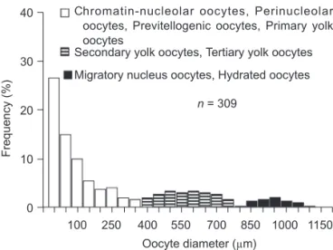 Fig.  3. Oocyte  diameter  distribution  of  ovaries  of  sailfish (Istiophorus platypterus) in the gravid stage (containing  hydrat-ed oocytes, black histogram)