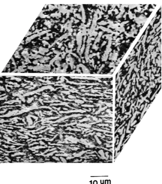Fig. 2. Line intercept of NiAl particles on the planes perpendicular and parallel to the hot-pressing direction as a function of NiAl content.