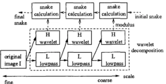 Fig.  4(b)  shows the motion vectors in the subbands.  Note  that the  motion vectors in the same subband orientation at  different scales are not related by  simple scaling due to the  effects of  down-sampling and the non-shift-invariant nature  of wavel