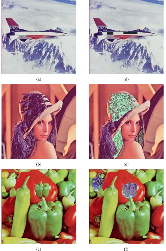 Figure 5. The suspicious images and their verification results. (a) Tampered “Jet”. (b)  Tampered ”Lena”