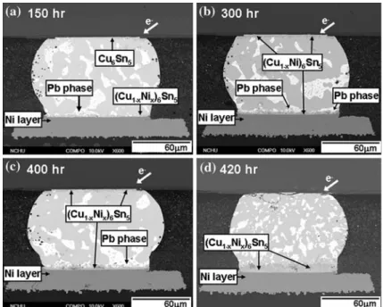 Fig. 4. (a) Higher-magnification micrograph for the UBM region of Fig. 3a. This micrograph is a composite picture from several micrographs that have a smaller field of view