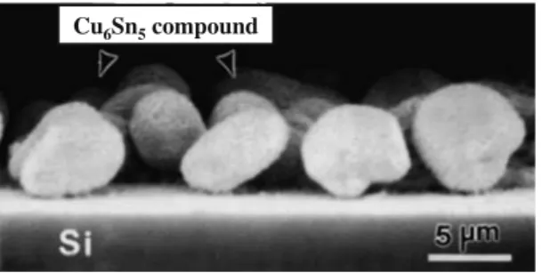 Fig. 16 SEM image showing the spalling of Cu 6 Sn 5 during the reaction between eutectic SnPb and Au/Cu/Cu–Cr substrate [3, 116] Ni CuSolder Solder mask