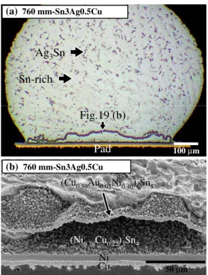 Fig. 19 (a) Cross-section view of a solder joint that had been reflowed at 235C for 5 min