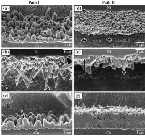 Fig. 22 Micrographs showing the solder/Cu and Ni/solder interfaces for Path I (left column) and path II (right column) illustrated in Fig