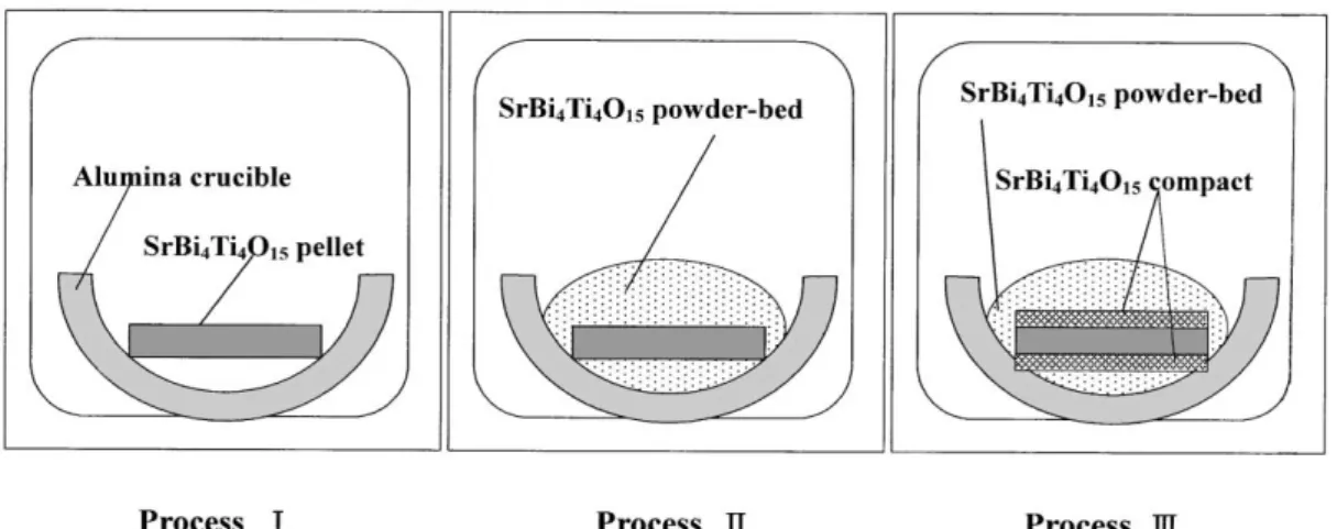 Fig. 1. Schematic diagrams for three kinds of sintering processes.