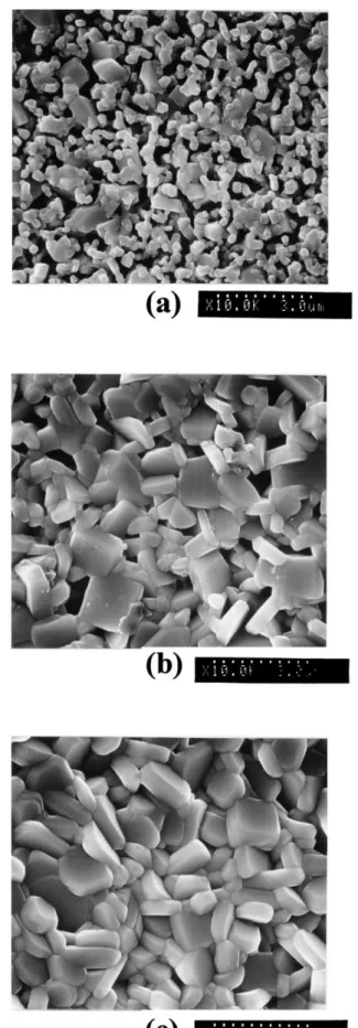 Fig. 11. Scanning electron micrographs of the SrBi 4 Ti 4 O 15 ceramics sintered in process III at (a) 1100  C, (b) 1150  C, and (c) 1200  C for 2 h.