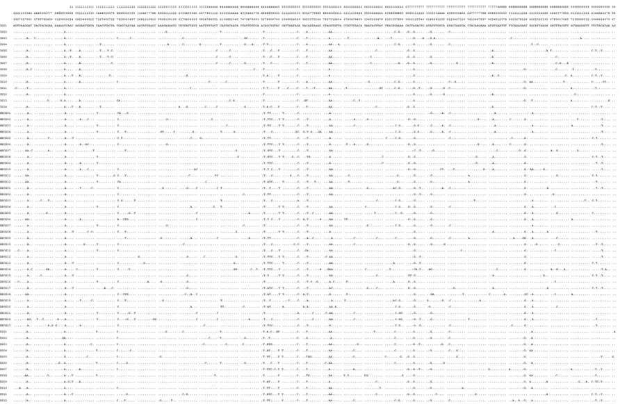 Figure 2. Variable sites in the 95 haplotypes found in the control region (992 bp) of 95 kuruma prawn individuals from ﬁve sampling localities
