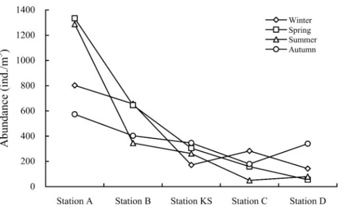 Fig. 3. Seasonal fluctuations of abundance of planktonic copepods collected at the various stations in 2004.