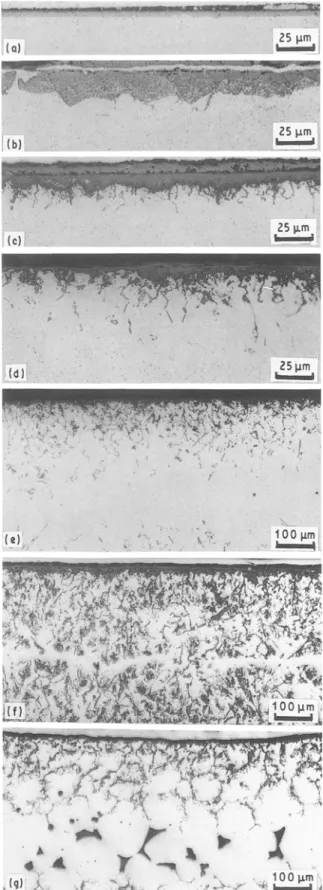 Figure 1  Cross-sections of oxidized specimens of Alloy A after air  exposure at  various temperatures: (a)  560~  492 h;  (b)  750~ 