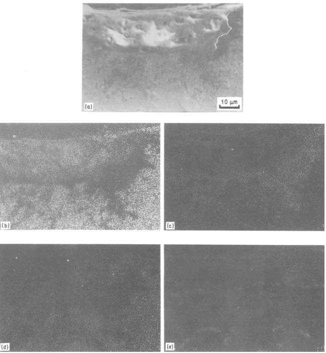 Fig.  3 also  indicates  that  below  1050 ~  the  chrom-  ium-containing  Alloy  B  has  better  oxidation  resist-  ance