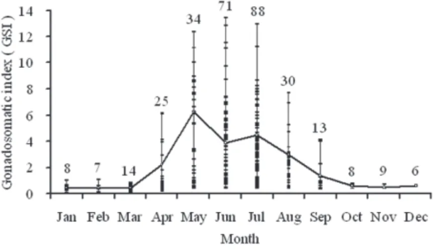 Figure 7. Monthly changes in mean gonadosomatic index (GSI) of female sailfish (Istiophorus  platypterus) in the waters off eastern Taiwan (vertical bars, standard error; numbers above  verti-cal bars, sample size).