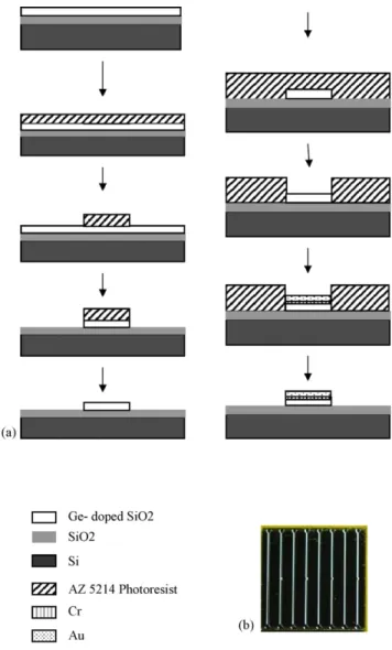 Fig. 1. (a) Fabrication process of waveguide immunosensor and (b) photograph of waveguide sensor