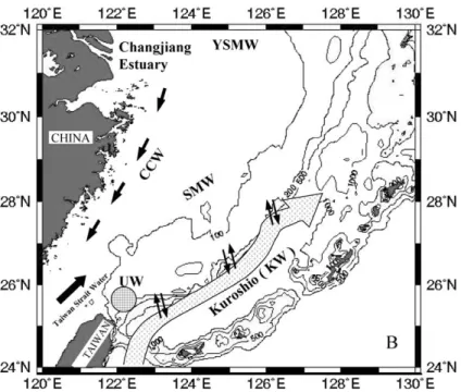 Fig. 2. Schematic representation of various waters in the East China Sea.