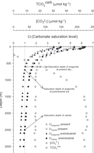 Fig. 10. Depth proﬁles of aragonite (O aragonite ) and calcite (O calcite ) saturation levels at the present time (open triangles and circles) and the pre-industrial era (solid triangles and circles) at the SEATS site