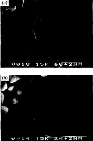 Fig.  3.  Microstructure  of  sintered  DCP  with  addition  of  (a)  2.5  wt.%  and  (b)  5  wt.%  N&amp;P207