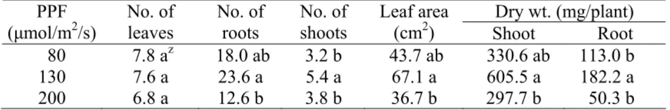 Table 4. Effects of photosynthetic photon flux (PPF) during ex vitro acclimatization on  subsequent growth of micropropagated Aglaonema ‘White Tip’