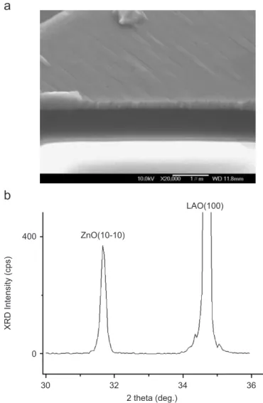 Fig. 1. ZnO hexagonal cell is in the (1 0 ¯1 0) or m-plane orientation which places the polar c-axis on the LiAlO 2 wafer plane.