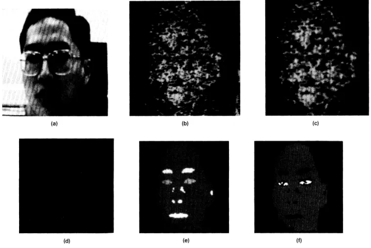Fig. 8 The resultant images of PFPE with the user wearing a pair of glasses with silver border.
