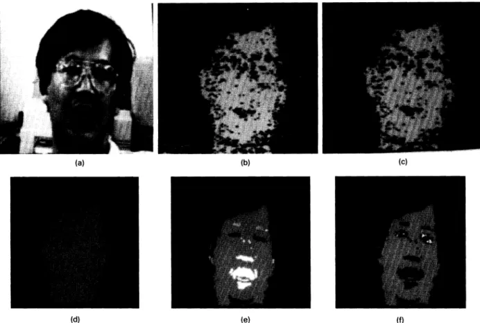 Fig. 12 The final set of resultant images performed by the PFPE. In this example, the user is bearded