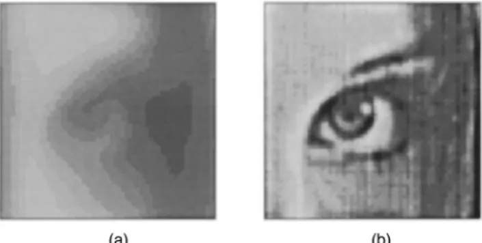 Fig. 6 (a) Image of Fig. 3 degraded by 7 3 7 blur functions and (b) restored image for the degraded image in (a)
