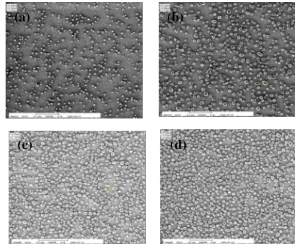 Fig. 1.      SEM images of Ge NCs layer grown on SiO 2  with different 