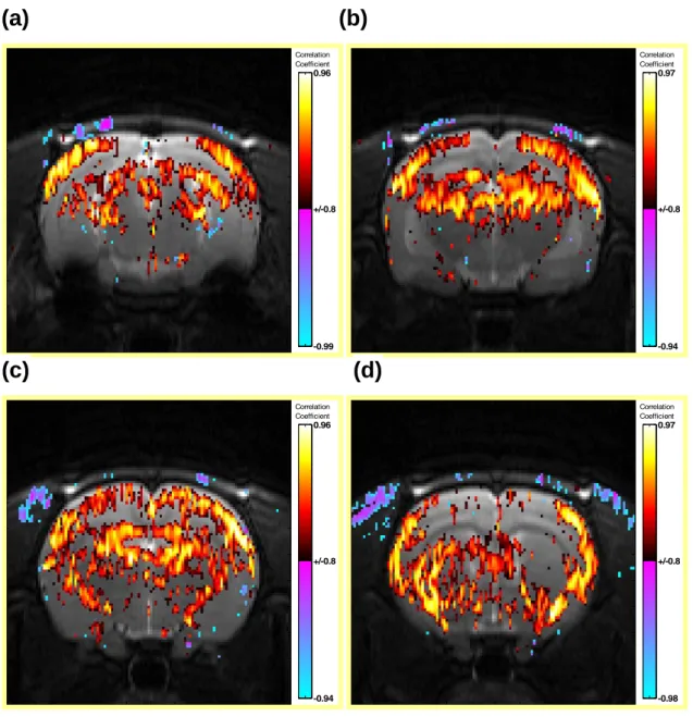 圖 4. fMRI 影像之相關係數分析結果，(a)~(d)分別是位於 bregma -0.8 mm、-2.8  mm、-4.8 mm、-6.8mm 之冠狀切面。  CorrelationCoefficient 0.96 +/-0.8-0.99 CorrelationCoefficient0.97 +/-0.8-0.94CorrelationCoefficient0.96+/-0.8-0.94CorrelationCoefficient0.97+/-0.8-0.98(d)(c) (b)(a) 