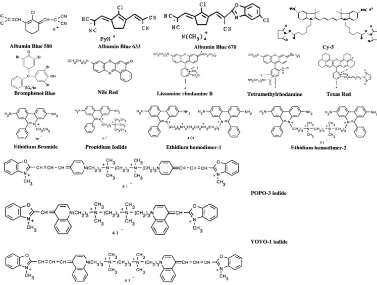 Fig. 1. Structures of some common long-wavelength dyes used for the analyses of DNA and proteins..