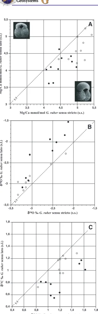 Figure 3. Comparison of the Mg/Ca ratios and stable isotopic composition of the two Globigerinoides ruber (white) morphotypes, G
