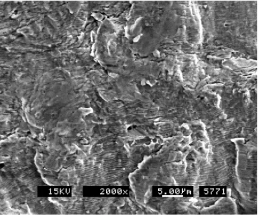 圖 4.10 7075 鋁合金疲勞斷面 SEM 照片。