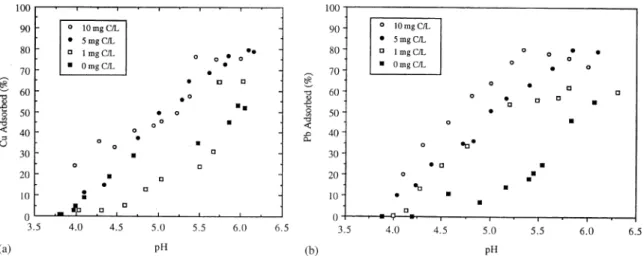 Fig. 3. Adsorption of metal ions onto g-Al 2 O 3 in systems containing fulvic acids: (a) Cu and (b) Pb.
