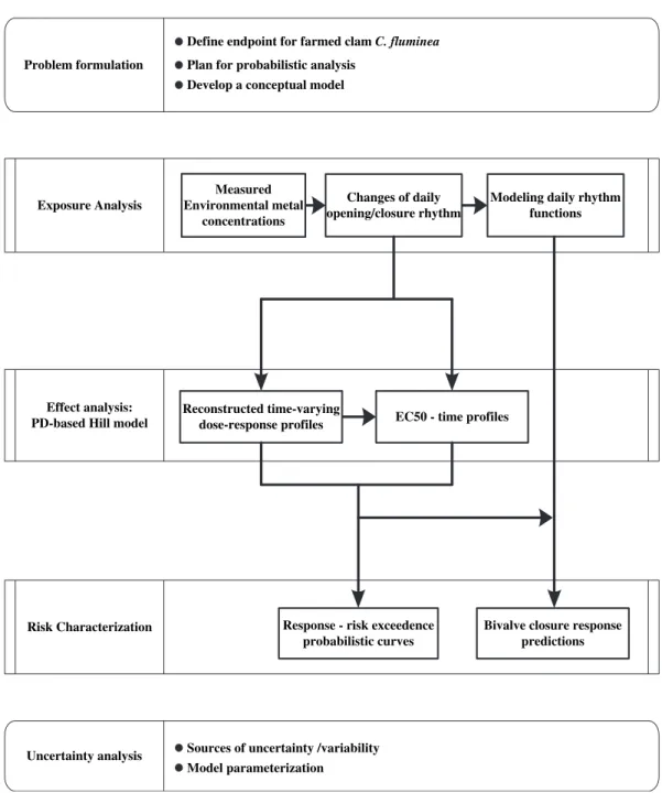 Fig. 1. A conceptual diagram showing a risk-based approach including problem formation, exposure analysis, eﬀect analysis, risk characterization, and uncertainty analysis developed to assess Corbicula ﬂuminea valve closure response risk exposed to waterbor