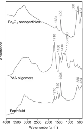 Fig. 4 shows a comparison between the FTIR spectra of the Fe 3 O 4 nanoparticles, the pure PAA oligomers, and the ferrofluid prepared by co-precipitation in the presence of PAA oligomer
