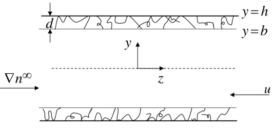Fig. 1                                d                                                                                              u hy=by=y∇n∞z