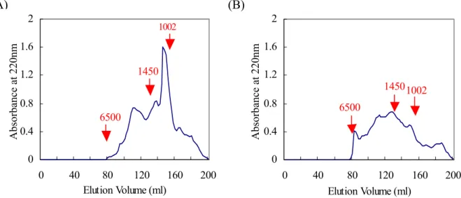 Fig. 3. Elution patterns of porcine red blood corpuscle solution on Sephadex G-25 columnchromatography after (A) 10  hour (B) 2 hour hydrolysis with mixture of trypsin