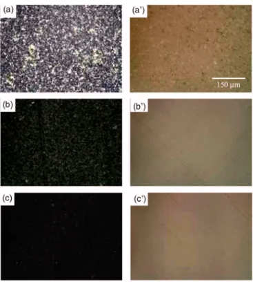 FIG. 2. 共Color online兲 The optical micrographs of liquid crystal alignment on the patterned silica surfaces taken between crossed polarizers