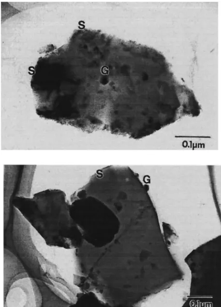 Figure 4. TEM micrographs of the composite particles.