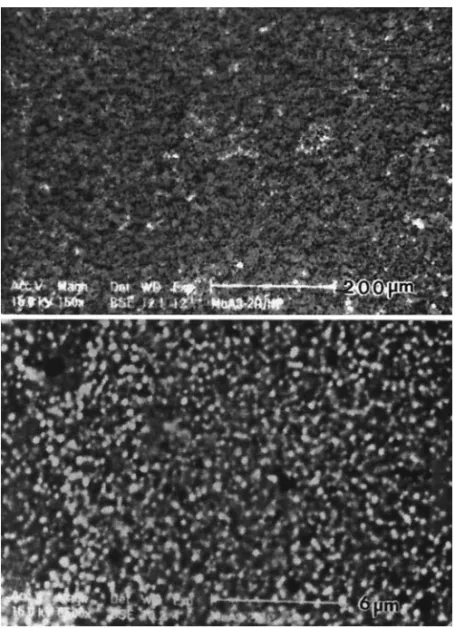 Figure 6. SEM micrographs in different magnifications imaged by back scattered (BS) mode
