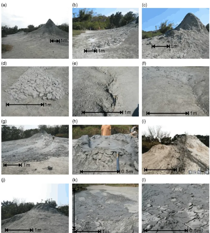 Fig. 4. (a) Mud volcano A; (b) the mud volcano deposits; (c) mud sporadically flakes off due to weathering; (d) irregularly cracked platy structures; (e) erosion gaps; (f) erosion gaps filled by mud flow; (g) mud volcano B; (h) bubbles of gas erupt from it