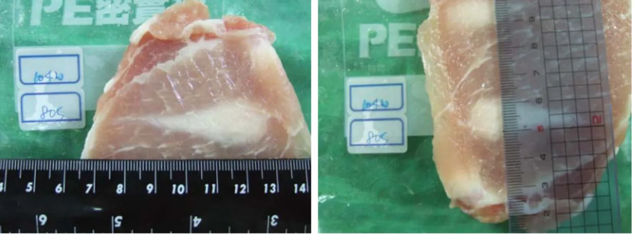 Fig. 7. Lesion inside the pork bulk after in-vivo experiment. 